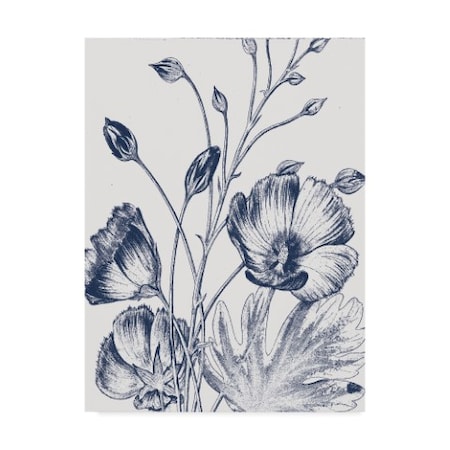 Wild Apple Portfolio 'Botanical Beauty Chalk IX White' Canvas Art,14x19